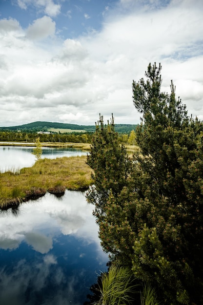 Chalupska moor path Chalupska moor en verano Parque Nacional de Sumava República Checa Destino turístico Paisaje de Bohemia del Sur