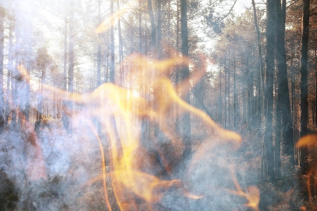 chama de fogo de paisagem abstrata na floresta, fundo de incêndio, desastre ecológico