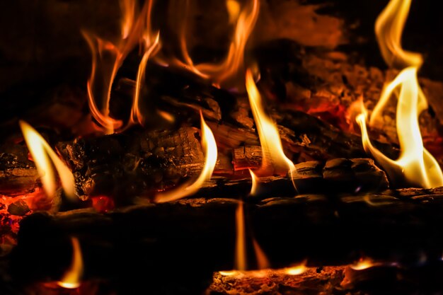 Chamas de fogo e brasas de madeira queimada na lareira