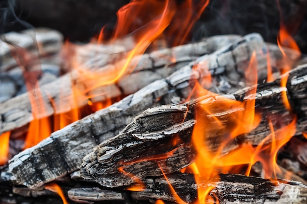 Chamas de fogo e brasas de madeira queimada