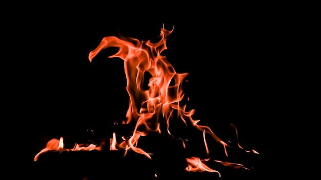 Foto chamas de fogo em um fundo preto o mistério do fogo