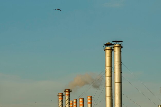 Foto chaminés de fábrica com fumaça no pano de fundo o céu noturno.