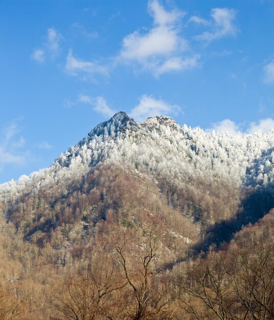 Chaminés na neve em smokies