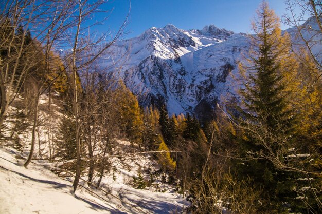 Chamonixhaute savoiefrance