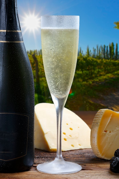 Champagner mit leckerem Käse