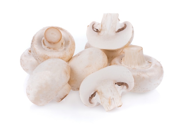 Champignon de cogumelo branco isolado na superfície branca