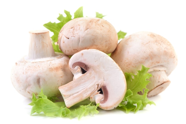 Champignon de cogumelos em branco