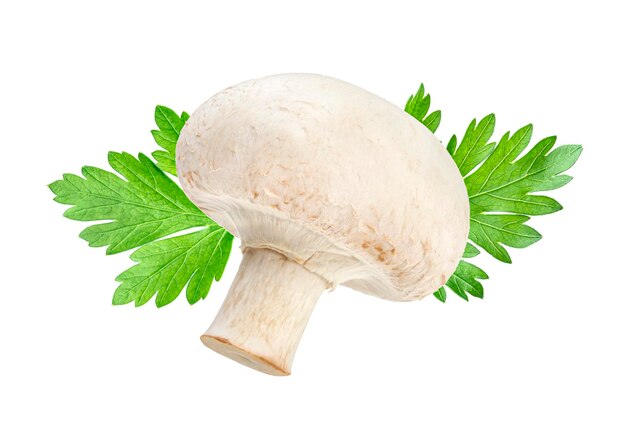 Champignon isolado no branco