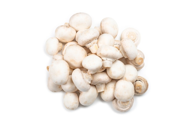 Champignon-Pilz lokalisiert auf Weiß