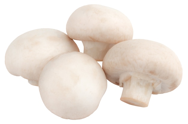 Champignon Pilze isoliert