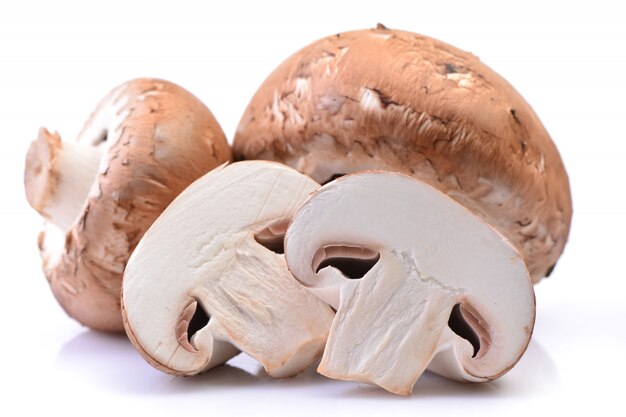 Champignon Pilze isoliert