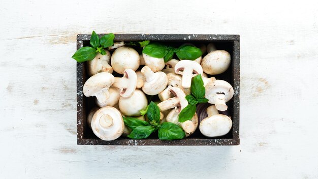 Champignons auf einem weißen Kochtisch Pilze Draufsicht Freier Platz für Text