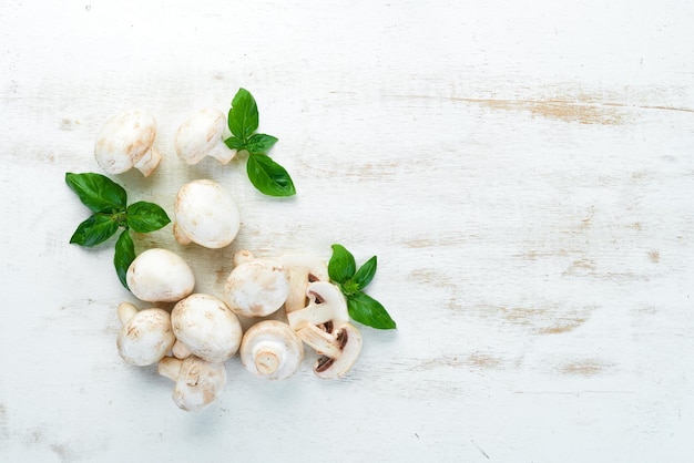 Champignons auf einem weißen Kochtisch Pilze Draufsicht Freier Platz für Text