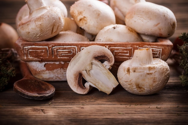 champignons frescos