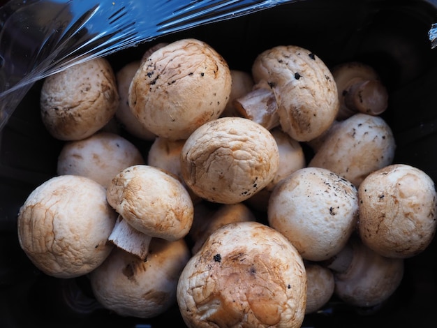Champignons in schwarzer Kunststoffverpackung Braune Champignons, die in einer Pilzfabrik gezüchtet wurden Pilze in einer geöffneten Ladenverpackung Nahaufnahme von Pilzen nach dem Auftauen Verformung und Elastizitätsverlust