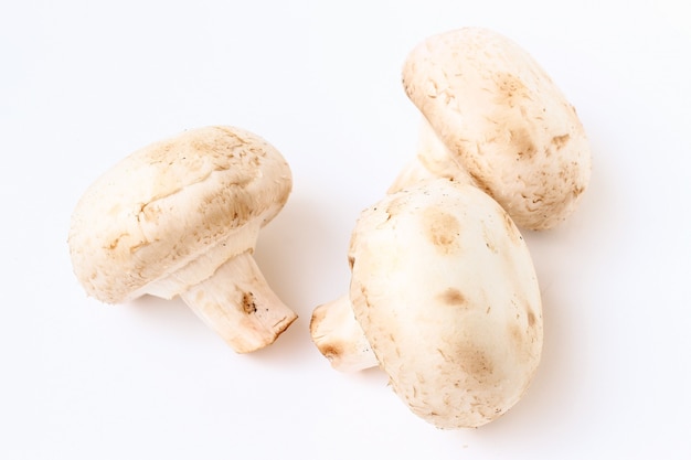 Champignons isolierte Nahaufnahme