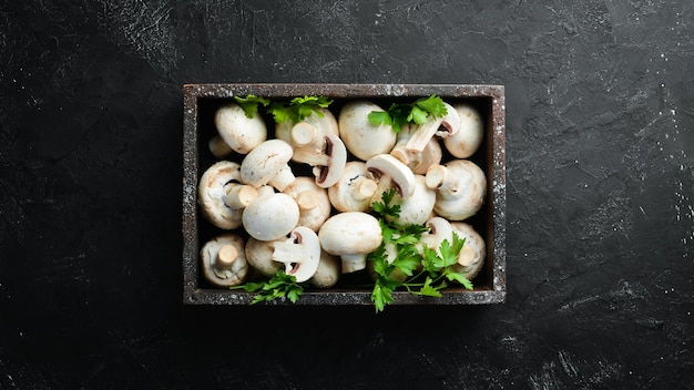 Champignons Pilze auf einem schwarzen Holztisch Draufsicht Freier Platz für Text