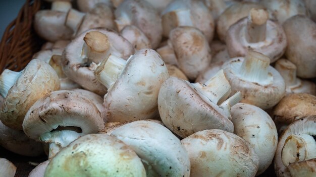 champiñones en un estante en el mercado