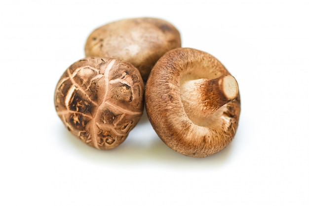 Champiñones frescos aislados en blanco - Hongos Shiitake