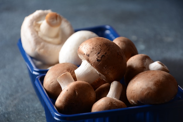 Champiñones frescos en caja de plástico