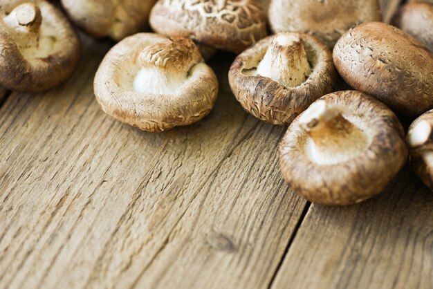 Champiñones frescos - Hongos shiitake