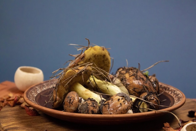 Champiñones frescos en un plato de arcilla, temporada de otoño