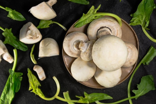 Champiñones frescos con verduras en un fondo negro