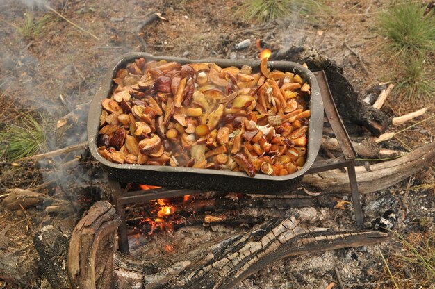 Champiñones fritos