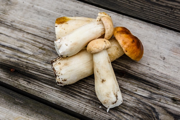 Champiñones porcini recién recogidos en una mesa de madera rústica Vista superior