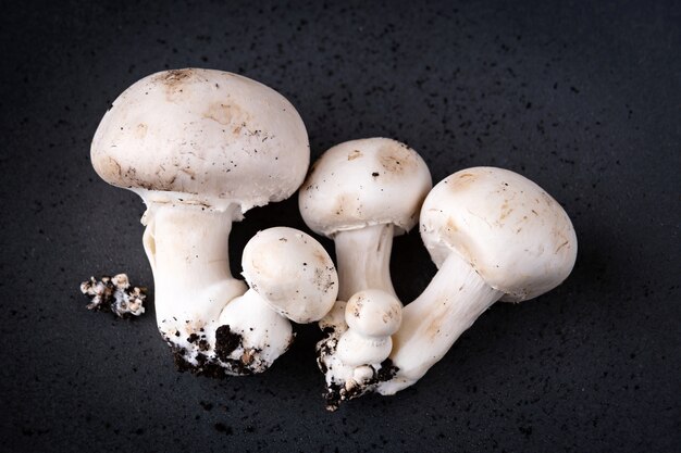 Champiñones que crecen con tierra, presentados en una placa gris