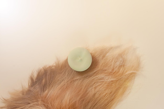 Champú sólido plano sobre mujer cabello rubio cuidado de spa tratamiento orgánico cintura cero