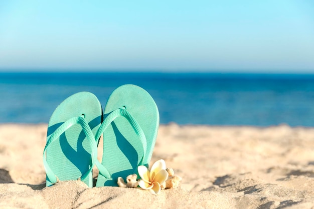 Chanclas atrapadas en la arena de una playa de arena junto al mar o al océano