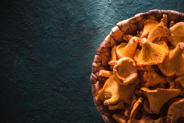 Chanterelles brilhantemente laranja em uma cesta em uma mesa turquesa escura