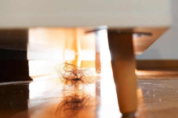 Foto chão sujo empoeirado com um monte de cabelo em parquet brilhante sob móveis na sala de estar closeup vista de baixo ângulo serviço de limpeza e conceito de alopecia