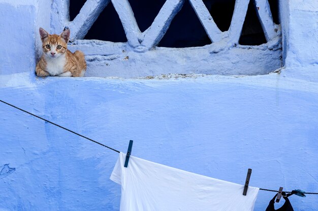 Chaouen die blaue Stadt von Morocco.Chefchaouen