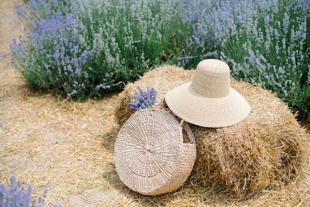 Chapéu de palha com uma cesta de lavanda em um campo de lavanda