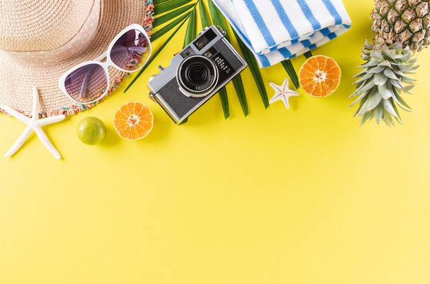 Chapéu de palha, óculos de sol, galhos de palmeiras, abacaxi e câmera retro