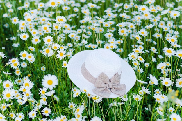 Chapéu feminino branco em um campo de camomila