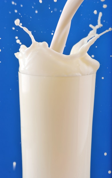 Foto chapoteo de la leche aislado en backround azul