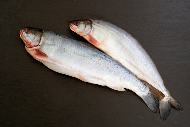 Char de los pescados crudos en un fondo negro.