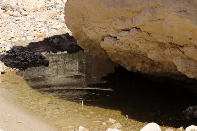 Charco de agua de lluvia Agua sin gas