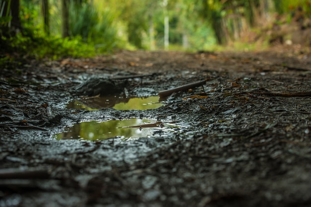 Charco de barro