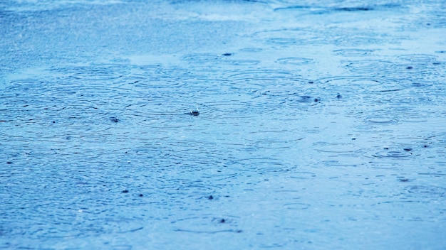 Charco con gotas de lluvia y círculos en la superficie del agua del río, charco de lluvia de fondo