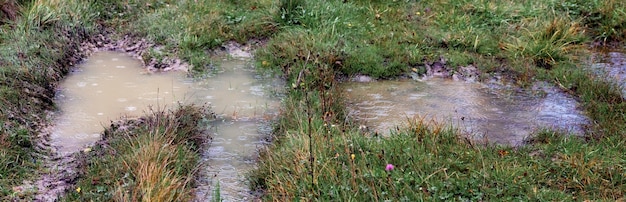 Charco durante la lluvia en una carretera cubierta de hierba