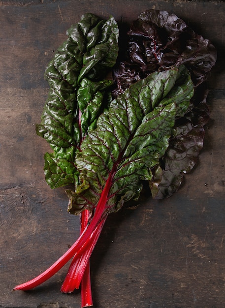 Chard mangold salada de folhas