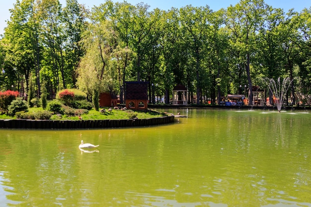 Charkow, Ukraine, 11. Mai 2018 Blick auf den schönen See im Gorki-Park im Sommer