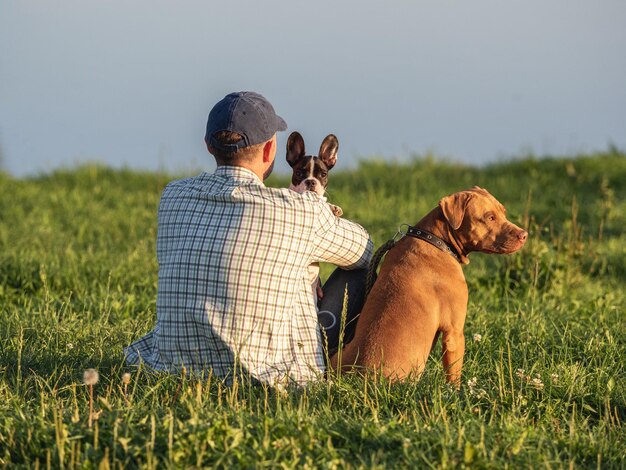 Charmanter Hund, süßer kleiner Welpe und attraktiver Mann