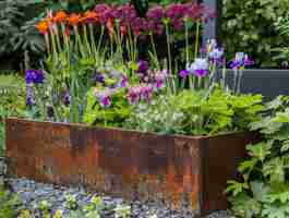 Foto charme rústico um jardim de maio florescendo com dicentra geranium macrorrhizum e irises anãs em um rais