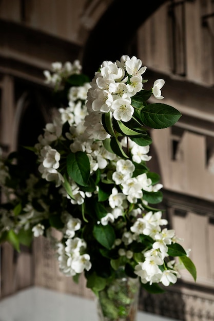 Foto charme und ästhetik von blumen und pflanzen im innenraum