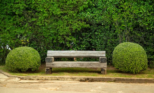 Charmoso jardim verde com banco de madeira de demolição e 2 plantas redondas